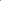 RASTA PATTERN PINK